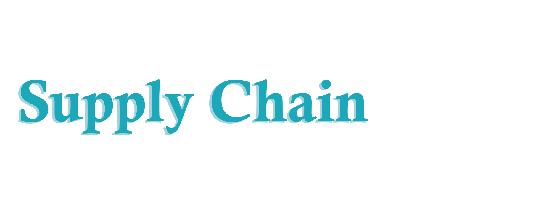 supply chain champions